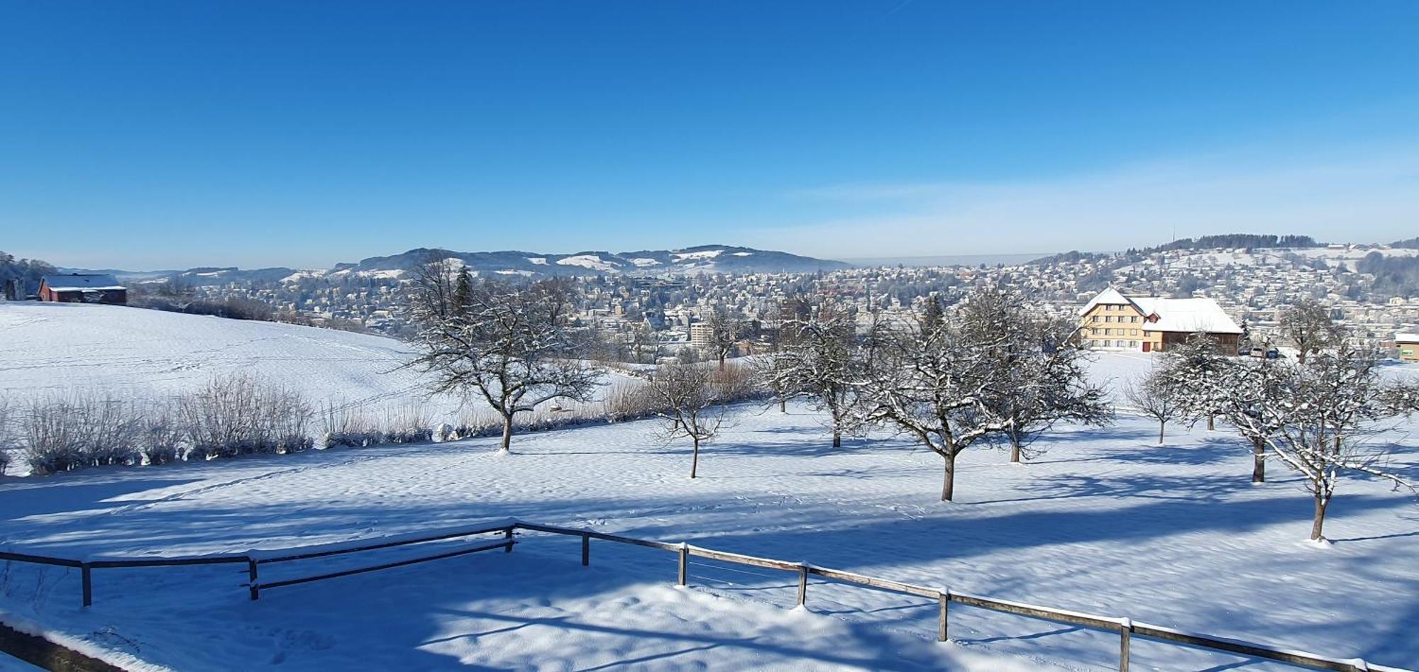 2-4 Zimmer Apartments Stilvoll Im Gertrud Schloessli - Zentral Ruhig St. Gallen Εξωτερικό φωτογραφία