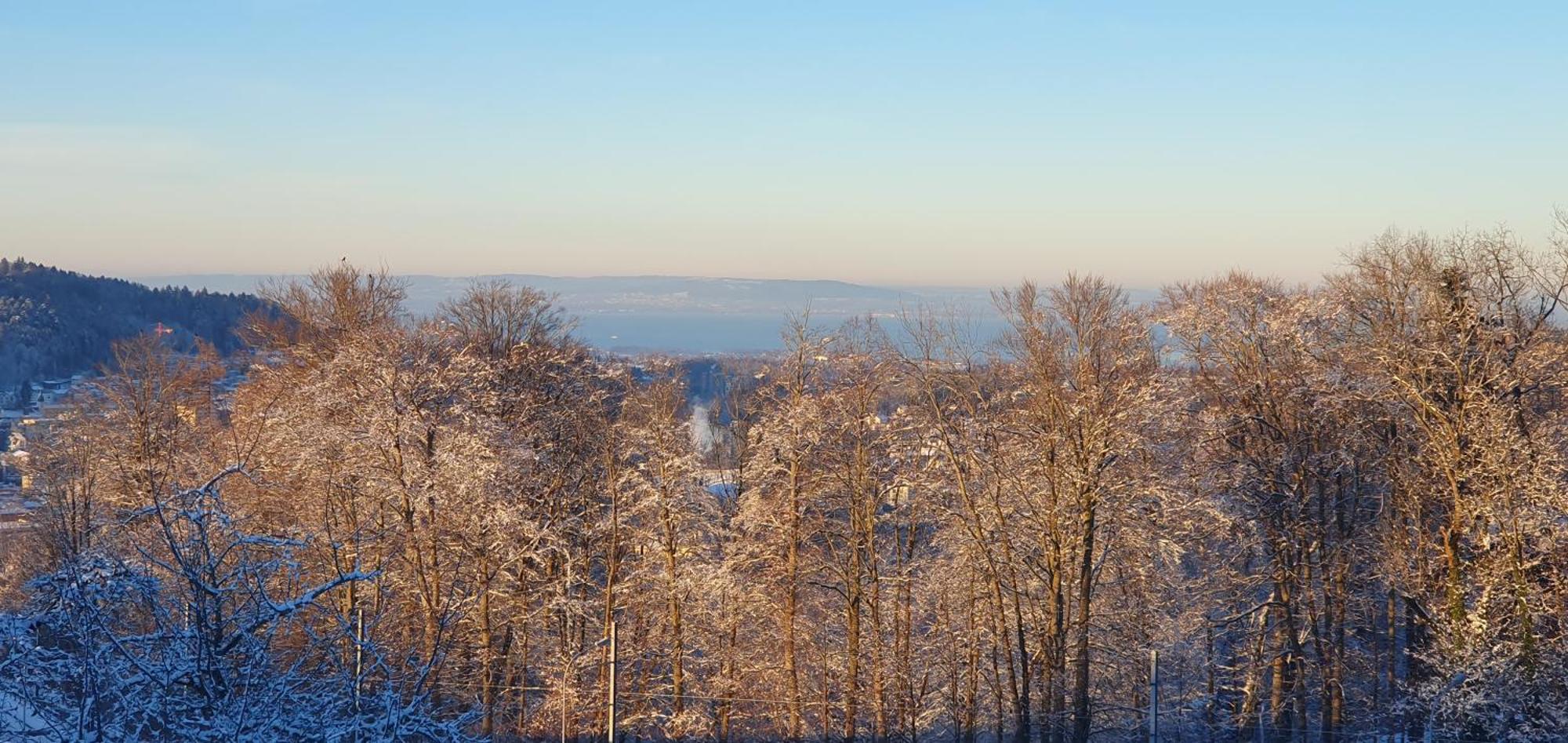 2-4 Zimmer Apartments Stilvoll Im Gertrud Schloessli - Zentral Ruhig St. Gallen Εξωτερικό φωτογραφία