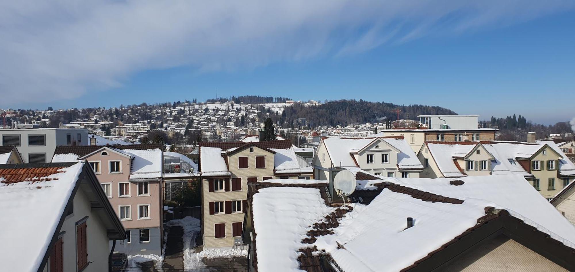 2-4 Zimmer Apartments Stilvoll Im Gertrud Schloessli - Zentral Ruhig St. Gallen Εξωτερικό φωτογραφία