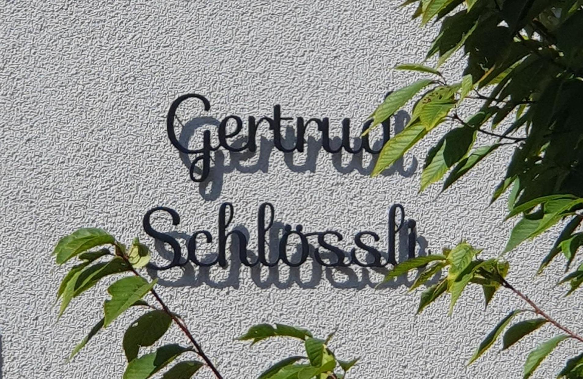 2-4 Zimmer Apartments Stilvoll Im Gertrud Schloessli - Zentral Ruhig St. Gallen Εξωτερικό φωτογραφία