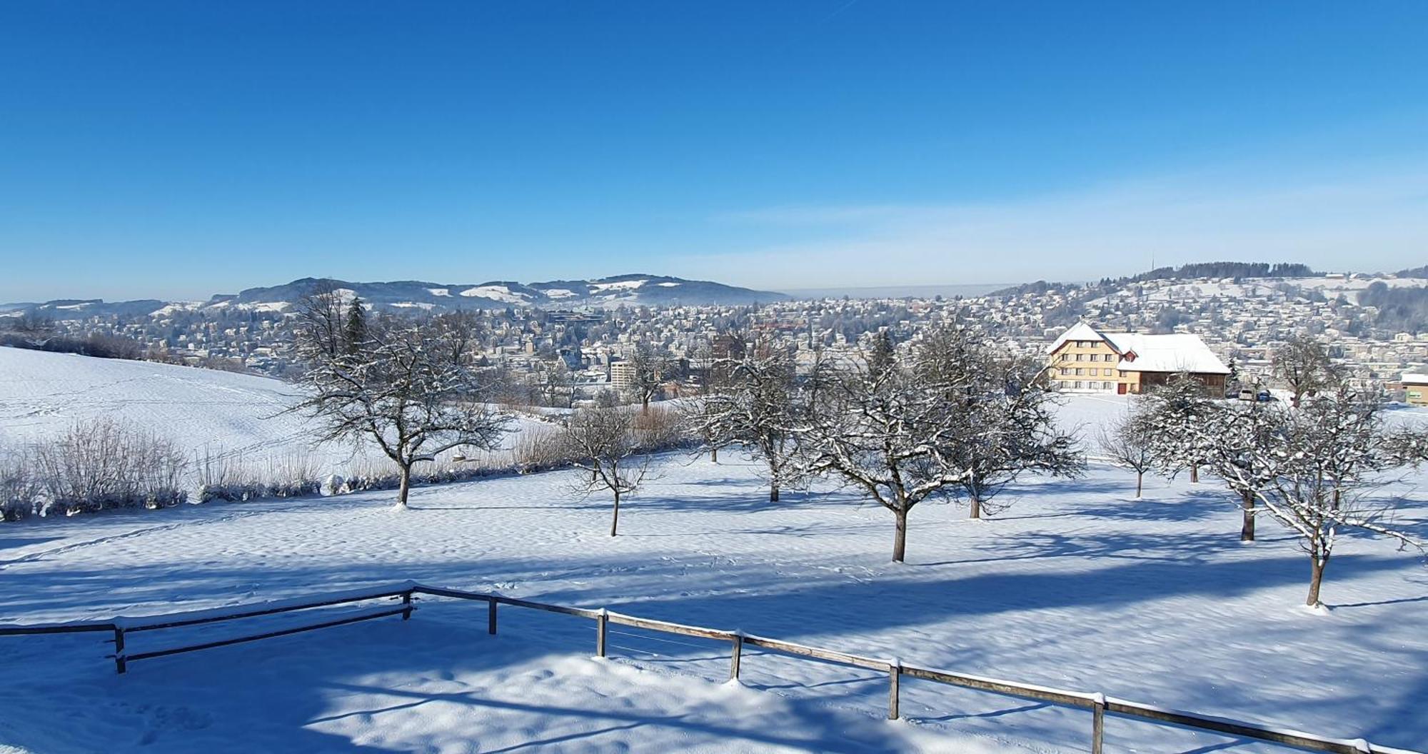 2-4 Zimmer Apartments Stilvoll Im Gertrud Schloessli - Zentral Ruhig St. Gallen Εξωτερικό φωτογραφία